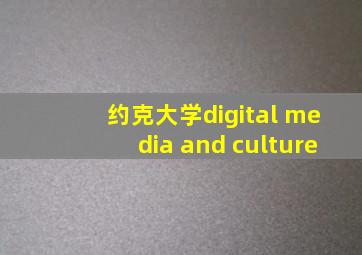 约克大学digital media and culture